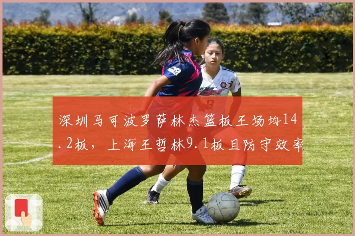 深圳马可波罗萨林杰篮板王场均14.2板，上海王哲林9.1板且防守效率下滑凸显内线失衡